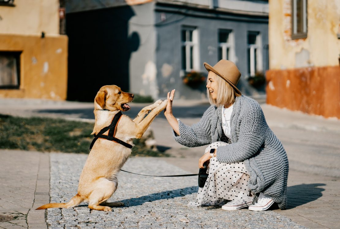 La lettre pour nommer son chien cette année