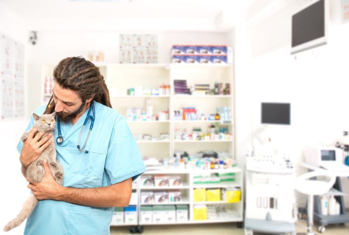 produits de soins et croquettes vétérinaires pour vos animaux